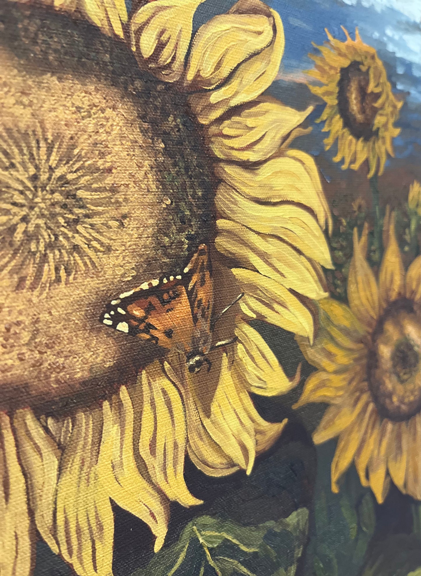 Sunflower Field (Gallery Wrap Canvas)