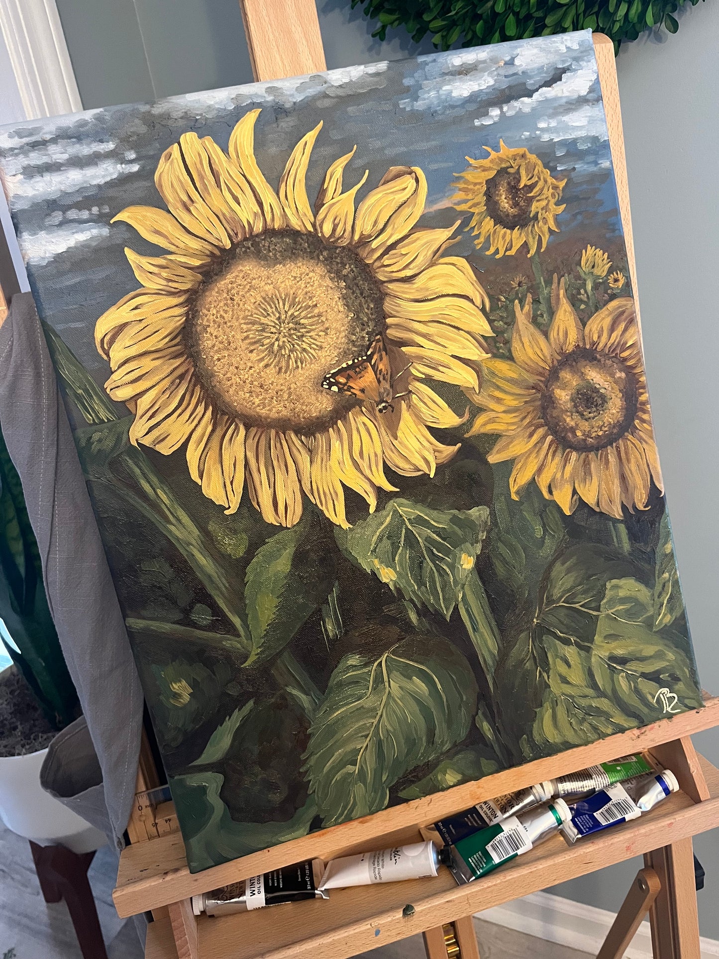 Sunflower Field (Gallery Wrap Canvas)