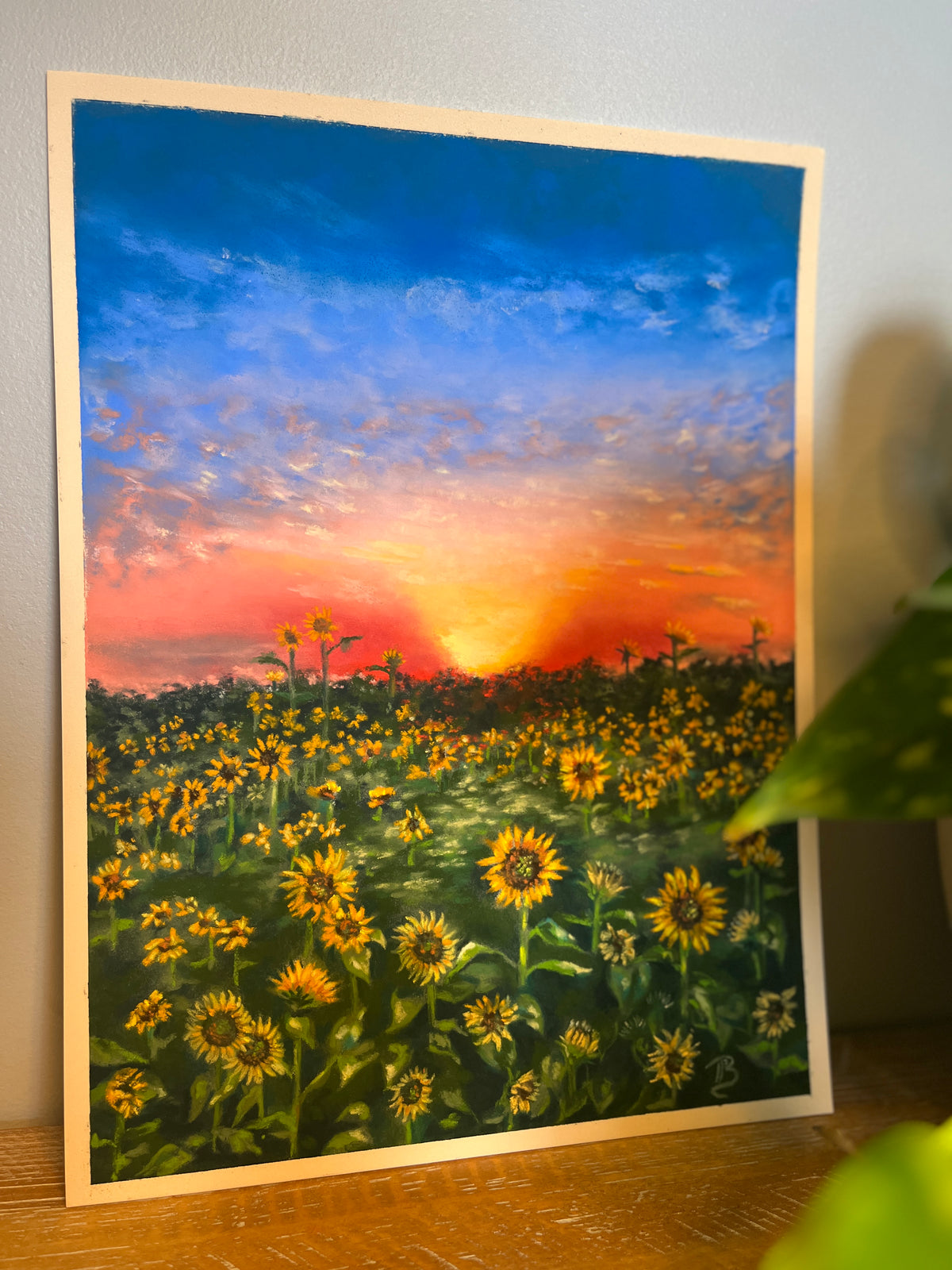Field of Hope