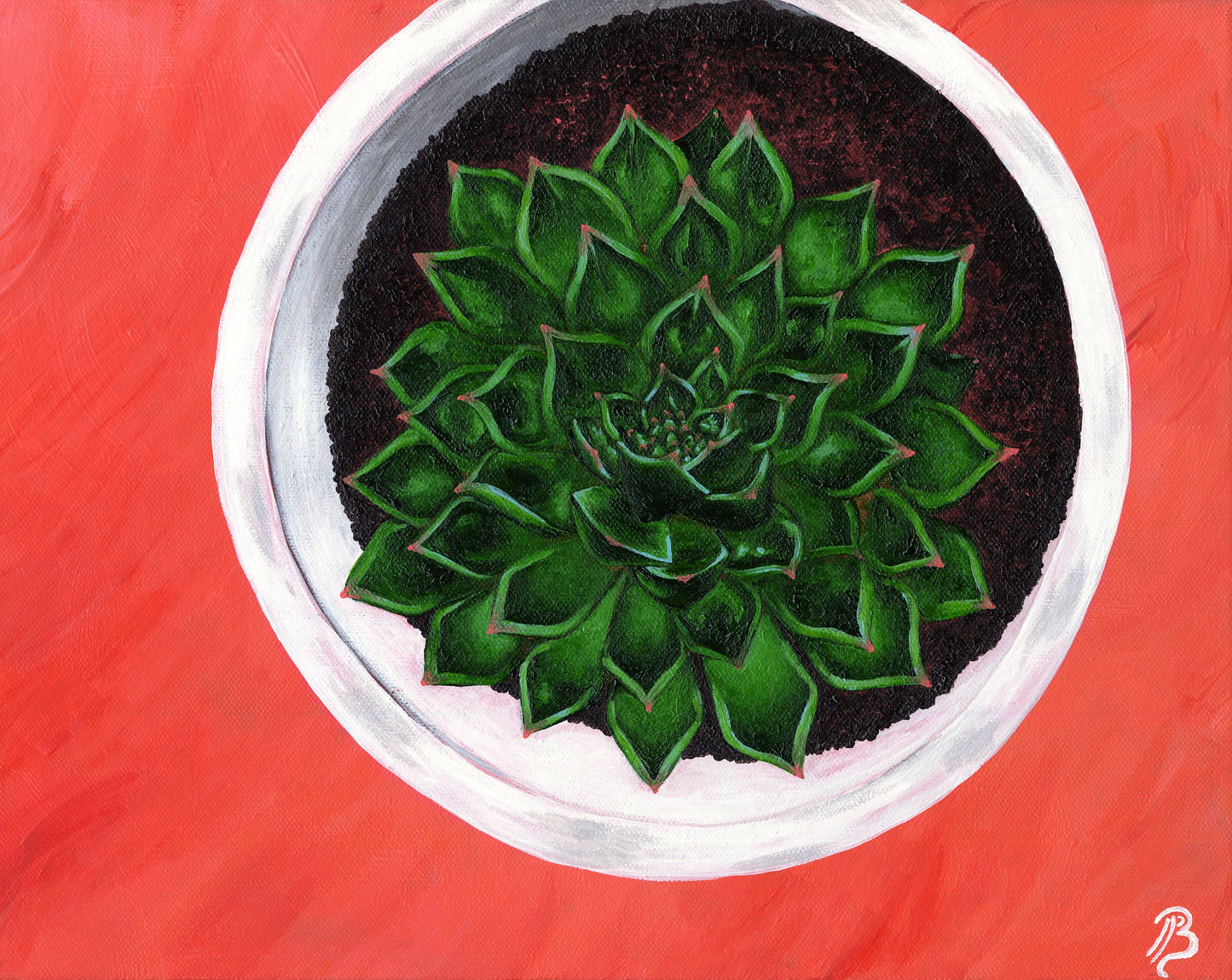 Succulent (Unstretched Canvas)