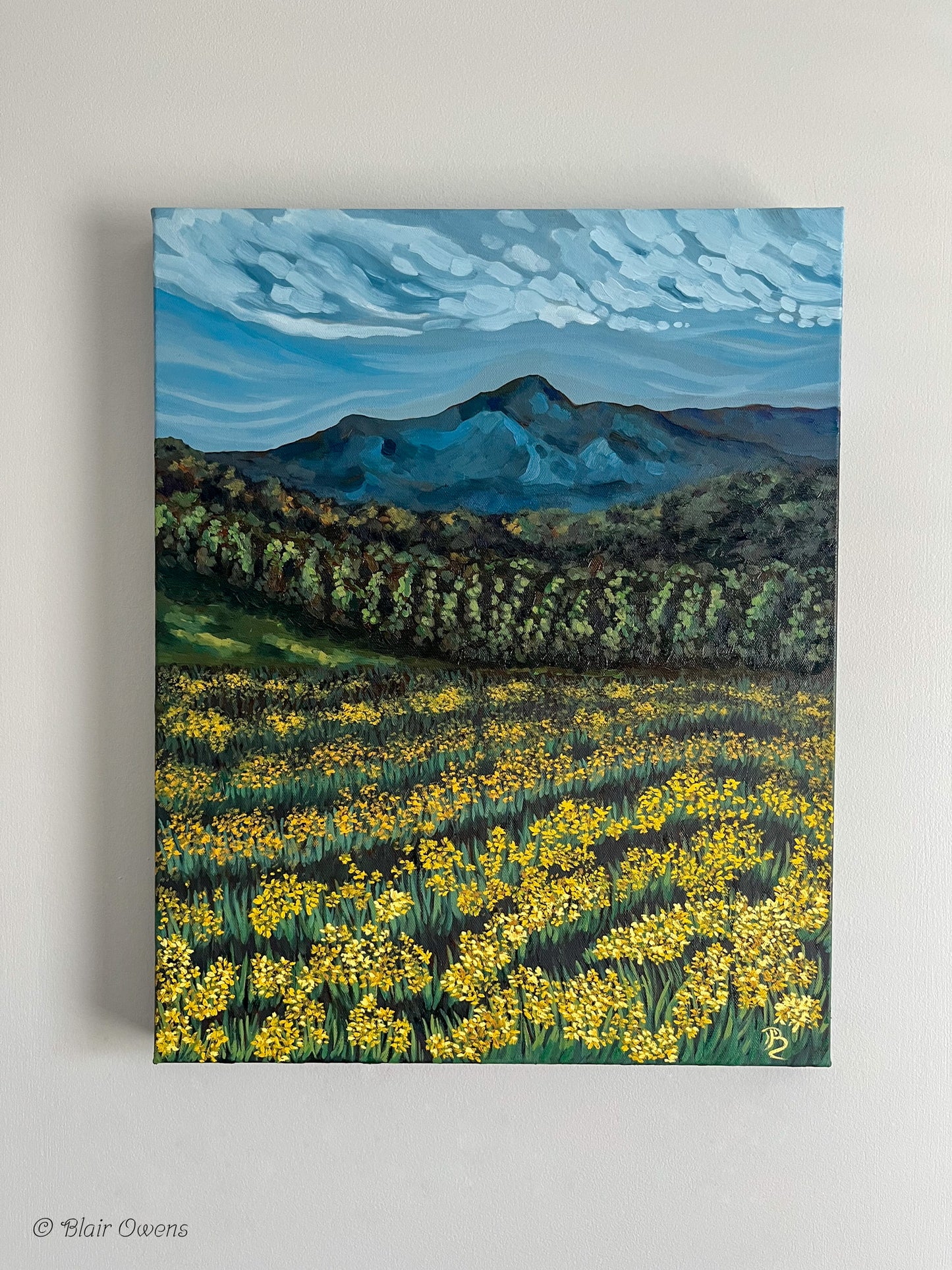 Beauty Makes A Sound (Unstretched Canvas)