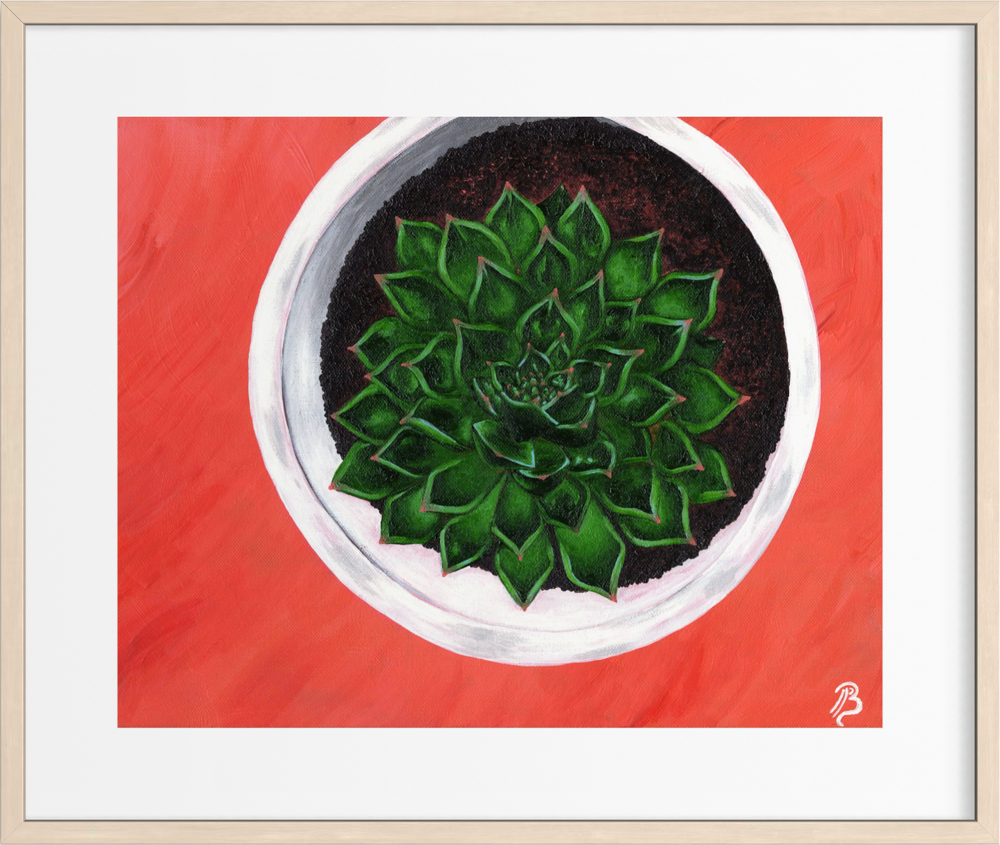 Succulent