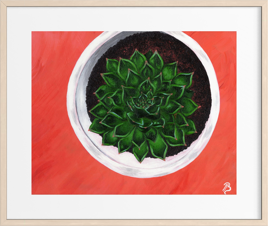 Succulent