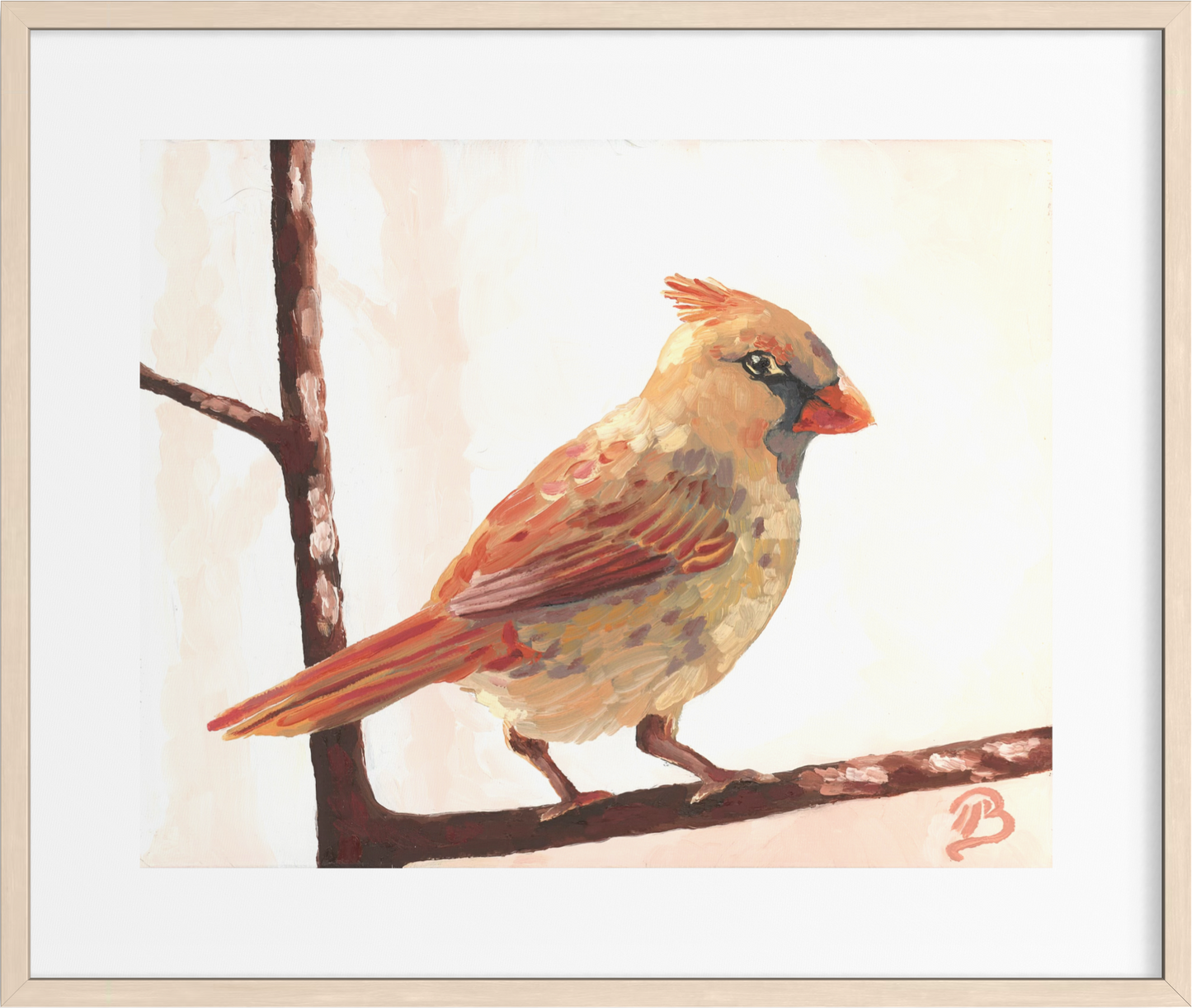 November Cardinal