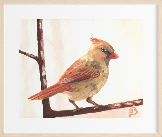 November Cardinal