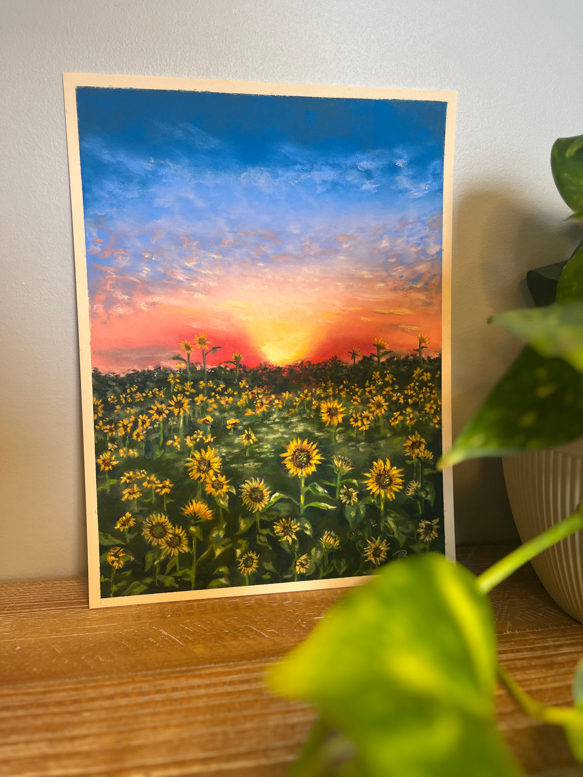 Field of Hope