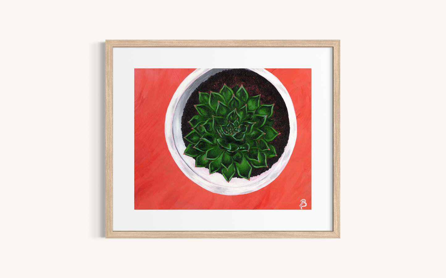Succulent